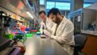 إنجاز علمي: تحليل دم بسيط ينقذ آلاف الأرواح من سرطان البنكرياس