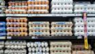 تركيا تشحن 15 ألف طن بيض إلى أمريكا.. صفقة مليونية للوفاء بوعد ترامب