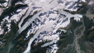 فقدان الجليد العالمي