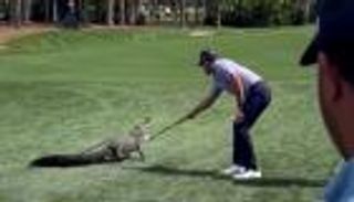 أرهب تمساحا.. لاعب غولف أمريكي ينقذ الجماهير (فيديو)