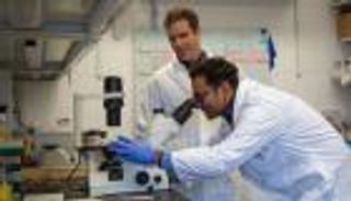 مفاجأة.. الحمية منخفضة الكربوهيدرات تفتح الباب أمام سرطان القولون