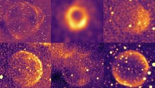 بعض الأشياء التي تم التقاطها بواسطة 