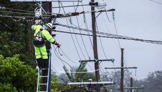 عامل كهرباء يعاين أضرار أسلاك الكهرباء جراء الإعصار ألفريد