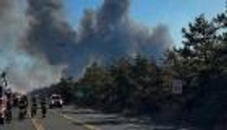 حرائق الغابات في هامبتونز تحت السيطرة.. لكن الخطر لم ينته بعد