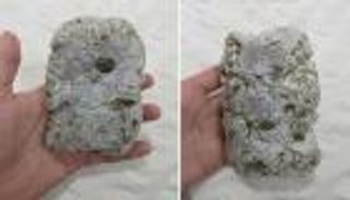 قطعة نادرة من العنبر الرمادي تظهر على شاطئ أسترالي بعد الإعصار ألفريد