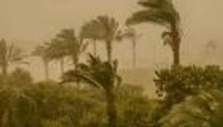 أيام الحسوم تضرب مصر.. تحذيرات للمزارعين وإرشادات لحماية المحاصيل