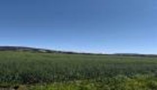 «تونس لن تأكل من وراء البحار».. «موسم ممطر» واكتفاء ذاتي