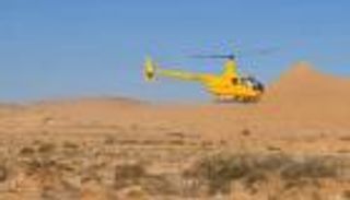 تونس تسيطر على الجراد الصحراوي وتحذر من تناوله (خاص)