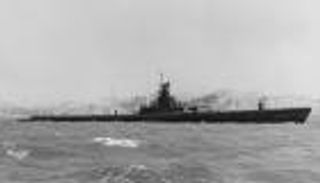 انتقام «بارني».. حين تحدى «مراوغو» أمريكا «جحيم» اليابان