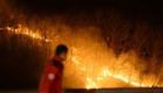 ارتفاع عدد ضحايا حرائق الغابات في كوريا إلى 26 قتيلا