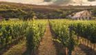 كيف يمكن نقل النباتات إلى بيئات أكثر أمانًا بدون أضرار؟