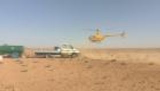 الجراد يكتسح تونس.. ومخاوف من تفاقم الوضع (خاص)