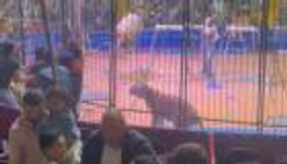 إزالة سيرك طنطا بعد حادثة هجوم نمر على أحد العاملين