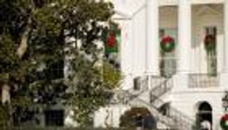 عمرها قرنان.. قصة شجرة أسقطها ترامب من الذاكرة