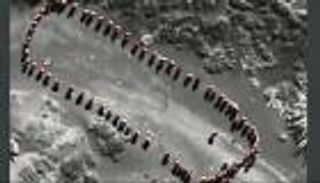 معضلة الحوثيين.. إخفاء الجرح لا يوقف النزيف