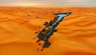 الكشف عن سلالة بشرية نادرة في شمال إفريقيا