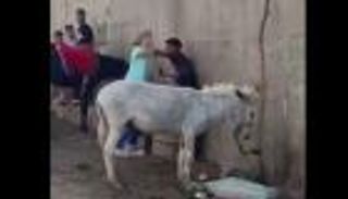 «الداخلية» المصرية تكشف تفاصيل فيديو ضرب «حمار» قرب الأهرامات