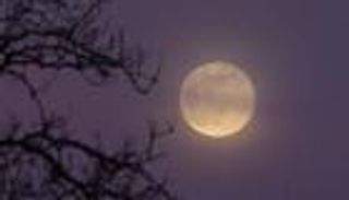 «القمر الوردي» يطل من بعيد.. بدر أبريل الأضعف سطوعا هذا العام