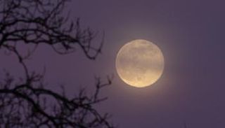 بدر أبريل هو الأصغر والأبعد والأكثر خفوتا هذا العام