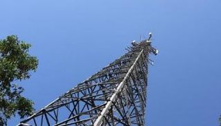 راديو يوم القيامة