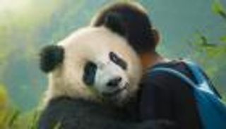 طرح فيلم Moon The Panda في السينمات المصرية اليوم