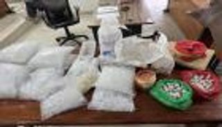 5000 نملة نادرة أمام القضاء.. والسلطات تحذر من خطر بيئي صامت