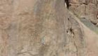 اكتشاف أثري فرعوني في الأردن.. «خرطوش ملكي» يعود لرمسيس الثالث