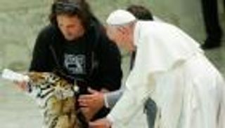 حالة النمر الذي رعاه البابا فرنسيس قبل وفاته