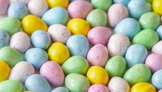 مصدر الصورة كانفا.