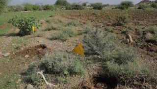 ألغام في أراضي زراعية باليمن - أرشيفية