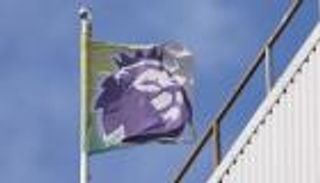 «بأصول أفريقية وآسيوية».. إعلان مدربين يورط عمالقة البريميرليغ