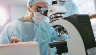 النسيج الخلالي تم اكتشافه علم 2018