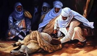 موسم عرس الأغنام ينطلق في ليبيا 