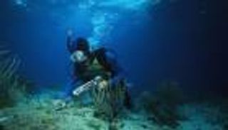 موانئ أبوظبي تنقل الشعاب المرجانية.. تقرير يكشف رحلة التوطين البيئي