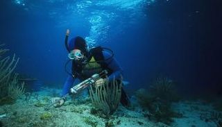 شعاب مرجانية