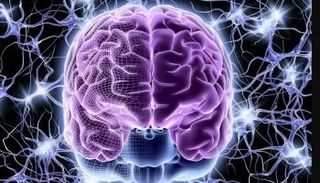 مركز الوعي في الدماغ