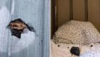 حين تطرق الصخور بابك.. أغرب حوادث سقوط النيازك في التاريخ