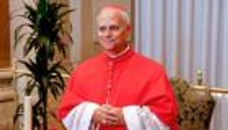 «ليو الرابع عشر».. ماذا يكشف الاسم عن خطط البابا الجديد المستقبلية؟