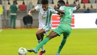 هشام بوداوي، نجم منتخب الجزائر