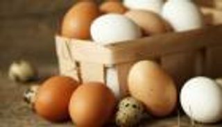 محكمة تدين أمًا كسرت بيضة على جبهة ابنتها على «تيك توك»