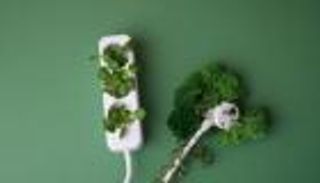 كفاءة الطاقة.. حل فعّال لخفض انبعاثات قطاع الصناعة