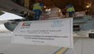 الإمارات.. دبلوماسية السلام في مواجهة أطماع وتضليل «سلطة بورتسودان»