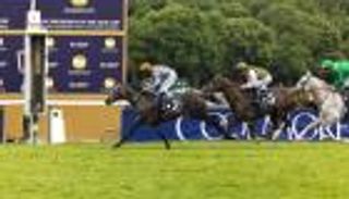 «لوسيل» يتوج بكأس رئيس الإمارات للخيول العربية في فرنسا