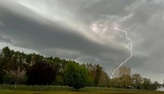 صاعقة برق تضرب حديقة حيوانات في فرنسا