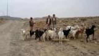 تحذير أممي من جفاف «غير معتاد» في اليمن 