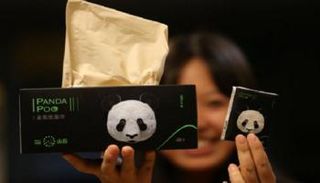 تدوير روث الباندا الغني بالخيزران لتحويله إلى ورق فاخر