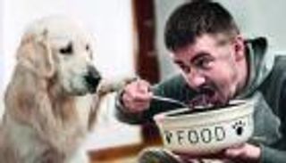 طعام الكلاب للبشر.. هذا ما يحدث إن جربته