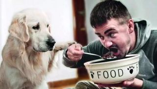 تجربة أسبوع على طعام الكلاب تكشف ما يحدث لجسم الإنسان