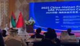 نموذج الشراكات الاستراتيجية الإماراتية.. تجربة ملهمة للدول العربية