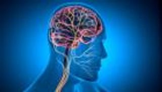 العصب المبهم وتمارين الاسترخاء: ما حقيقة ما يُروج عبر «تيك توك»؟